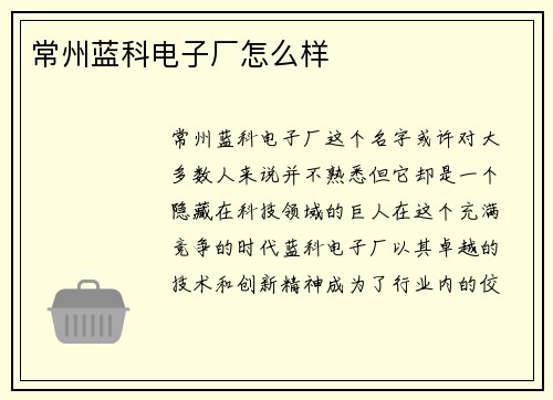 常州蓝科电子厂怎么样